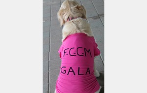 Gala 1ere supportrice des jeunes Chaponnaysards